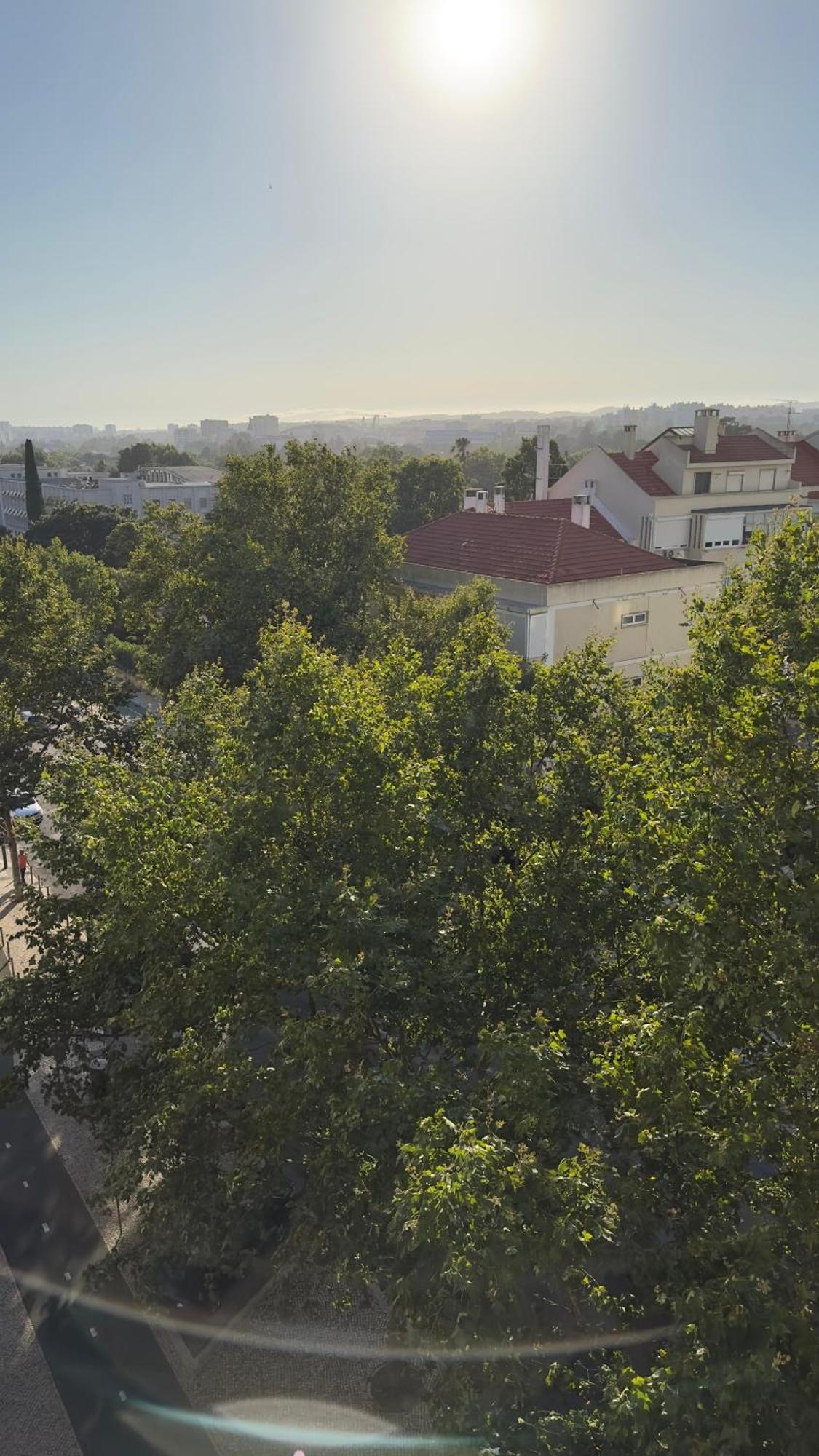 Room Alvalade Lissabon Buitenkant foto