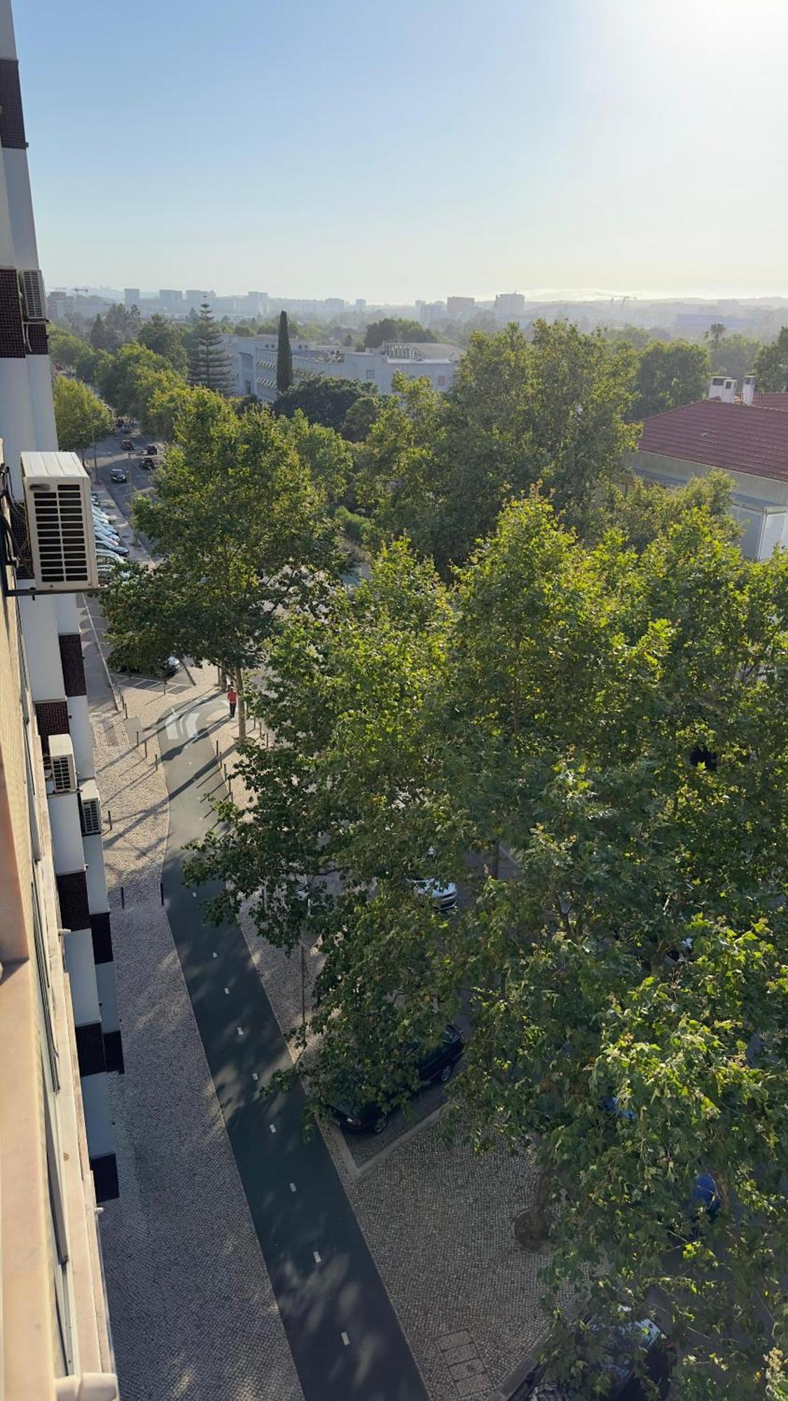 Room Alvalade Lissabon Buitenkant foto